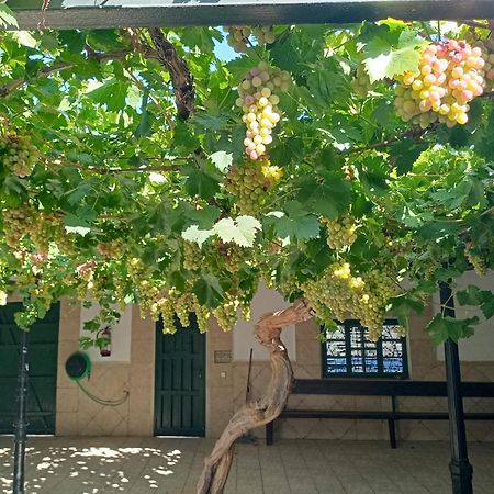 Casa Rural La Del Alba Seria Argamasilla de Alba Exteriör bild