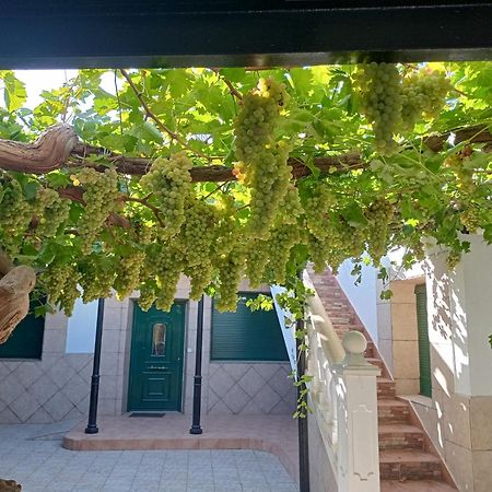 Casa Rural La Del Alba Seria Argamasilla de Alba Exteriör bild