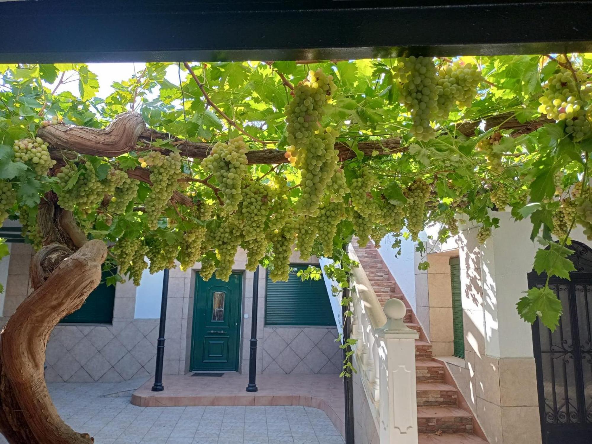 Casa Rural La Del Alba Seria Argamasilla de Alba Exteriör bild